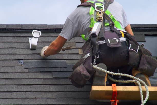 Best Shingle Roofing Installation  in Bigfoot, TX