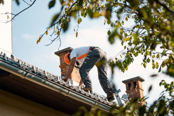Best Metal Roofing Contractor  in Bigfoot, TX