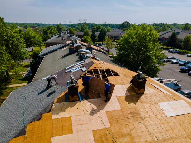 Best Metal Roofing Contractor  in Bigfoot, TX
