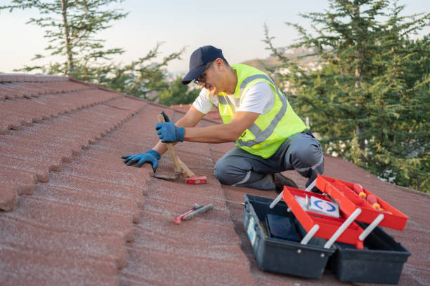 Roof Waterproofing Services in Bigfoot, TX