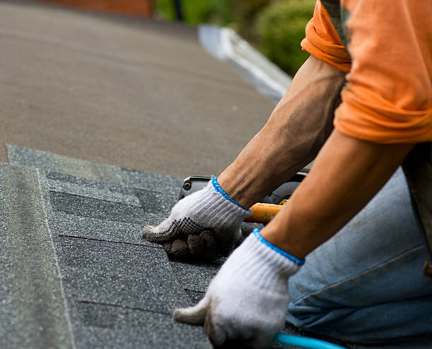 Best Roof Inspection Near Me  in Bigfoot, TX