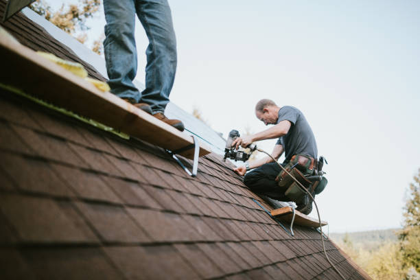 Best Roof Waterproofing Services  in Bigfoot, TX